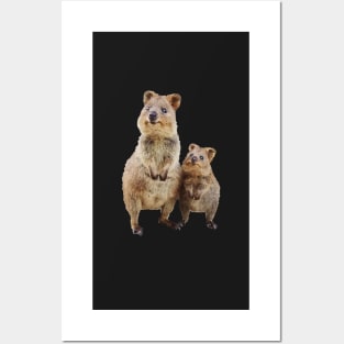 Quokka with Baby Cute Australian Teddy Bear Posters and Art